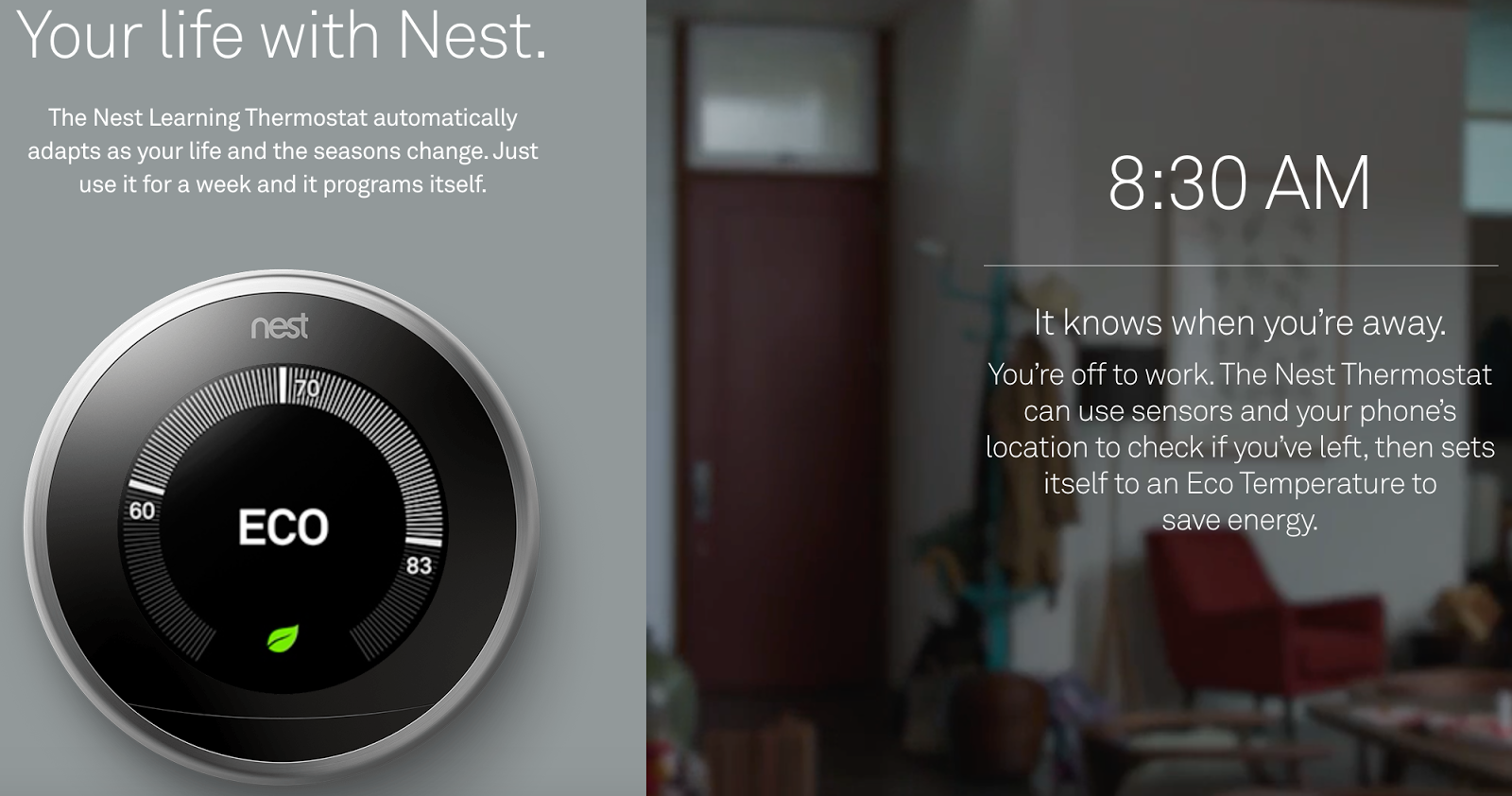Nest Learning Thermostat screenshot